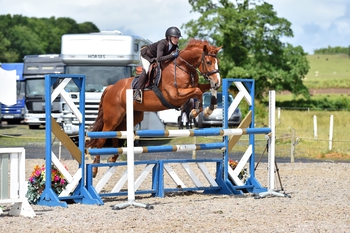 Laura Whitfield scoops the KBIS Insurance Senior British Novice Second Round win at Muirmill Equestrian Centre 